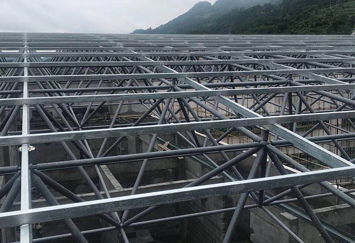 莆田学校艺体楼网架